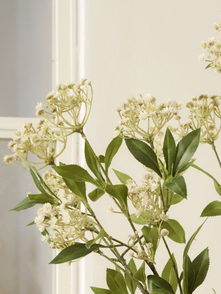 Faux Queen Anne's Lace, Natural - 109 cm