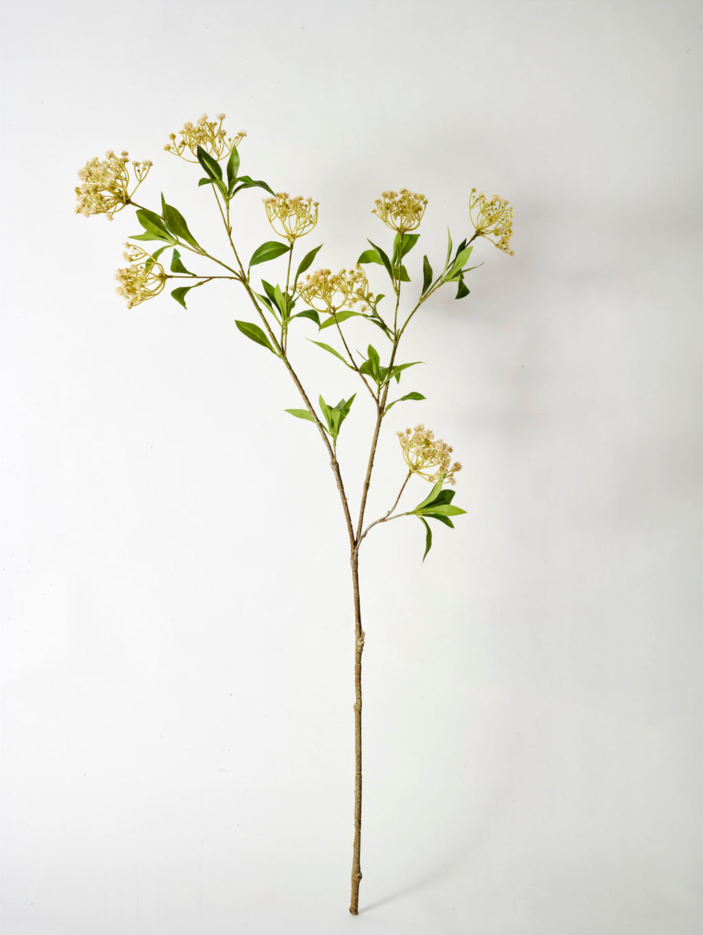 Faux Queen Anne's Lace, Natural - 109 cm