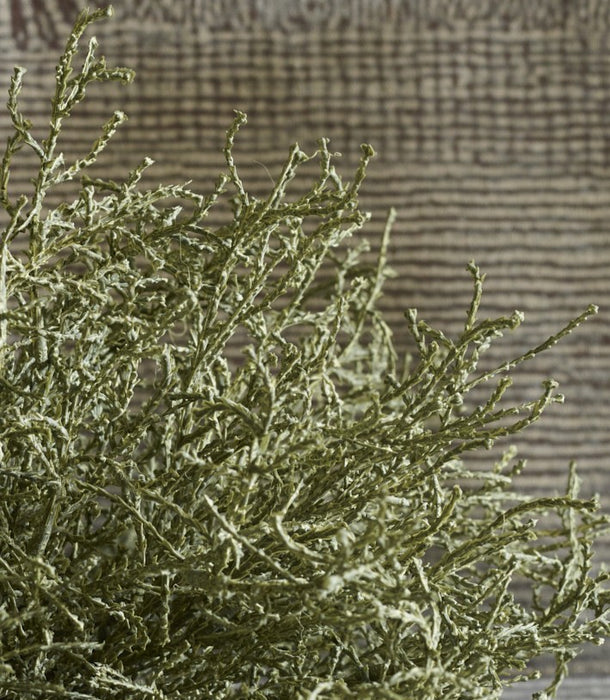 Faux Santolina Sage Potted, Green - 25cm