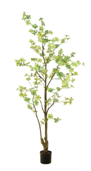 Faux Bucida Tree, Green - 185 cm