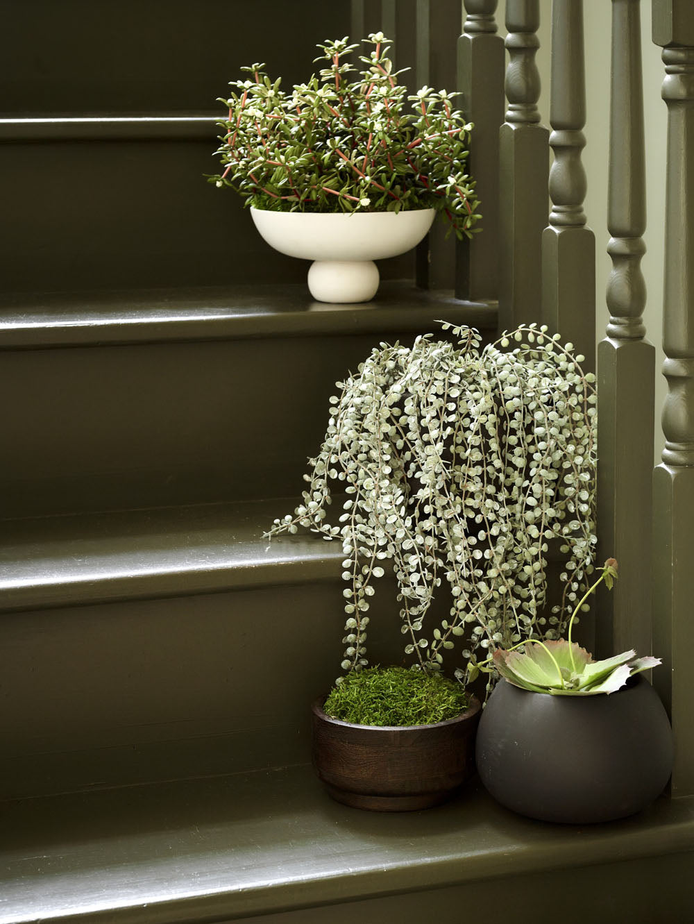 Faux Trailing Hearts Potted, Green - 50 cm