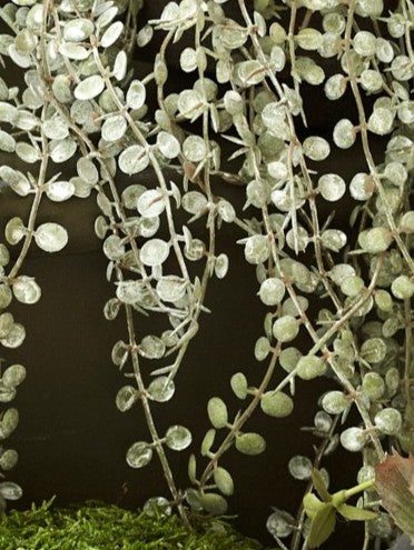 Faux Trailing Hearts Potted, Green - 50 cm