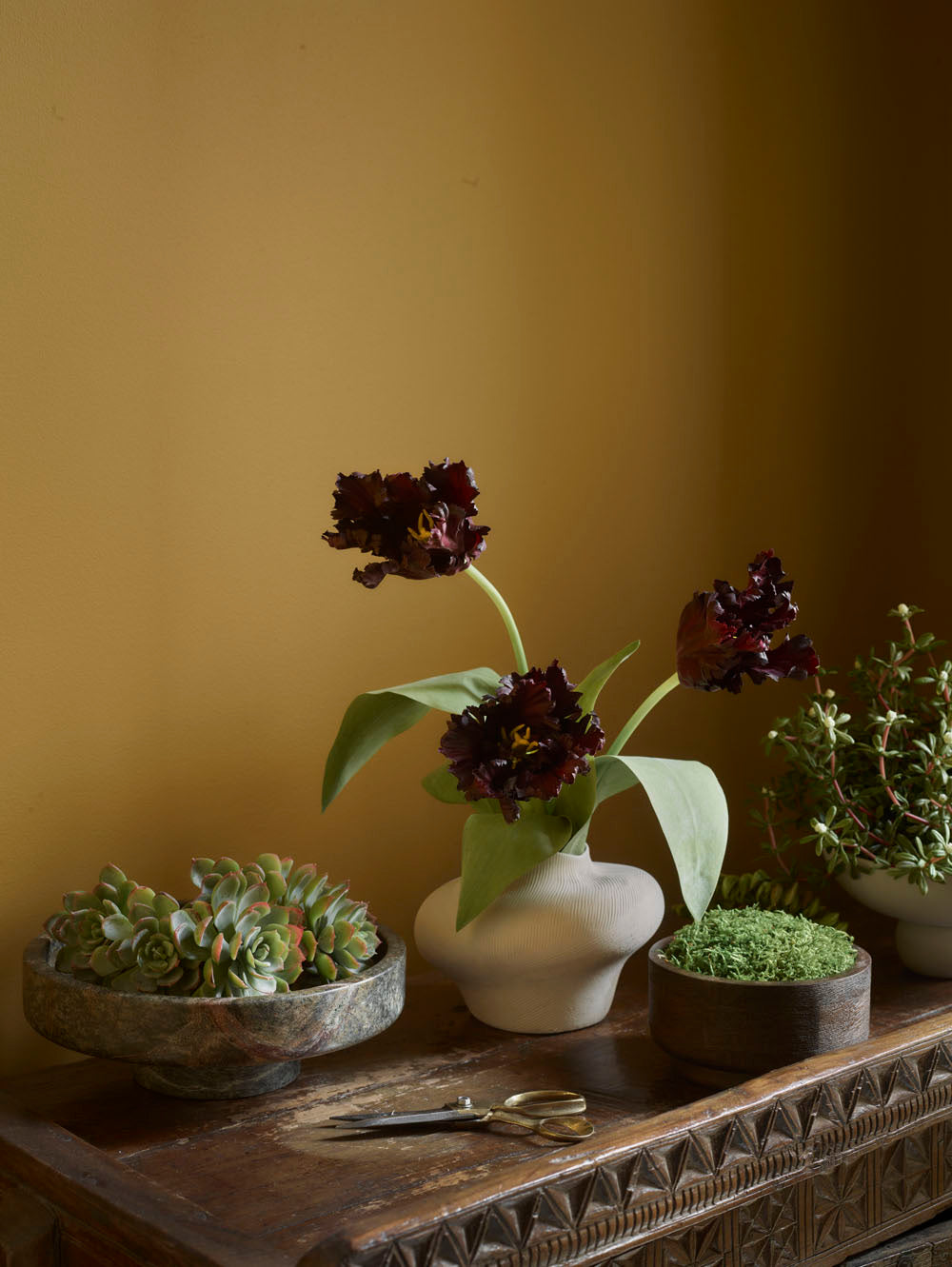 A Faux Parrot Tulip in rich burgundy (65cm) stands in a white vase on a wooden table beside succulent and moss bowls. Small gold scissors rest nearby, all set against a warm yellow wall.