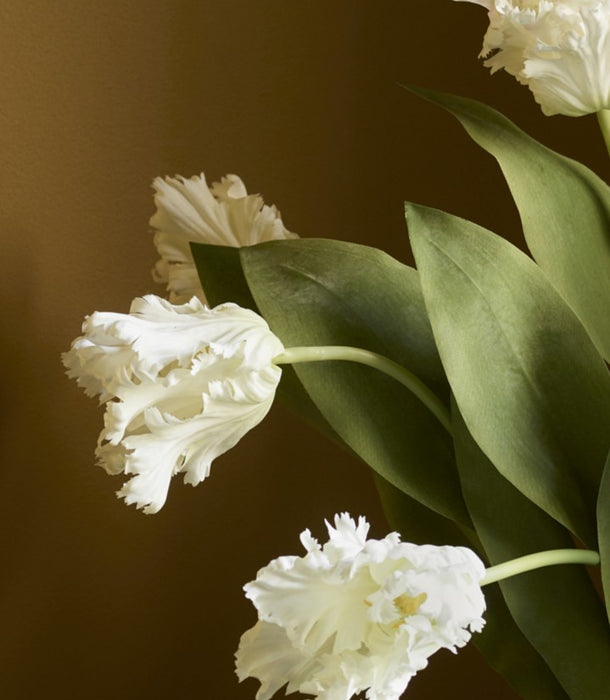 Faux Parrot Tulip, White - 65cm