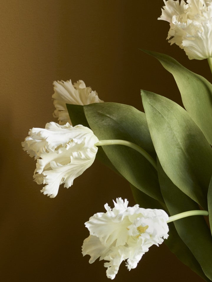 Faux Parrot Tulip, White - 65cm