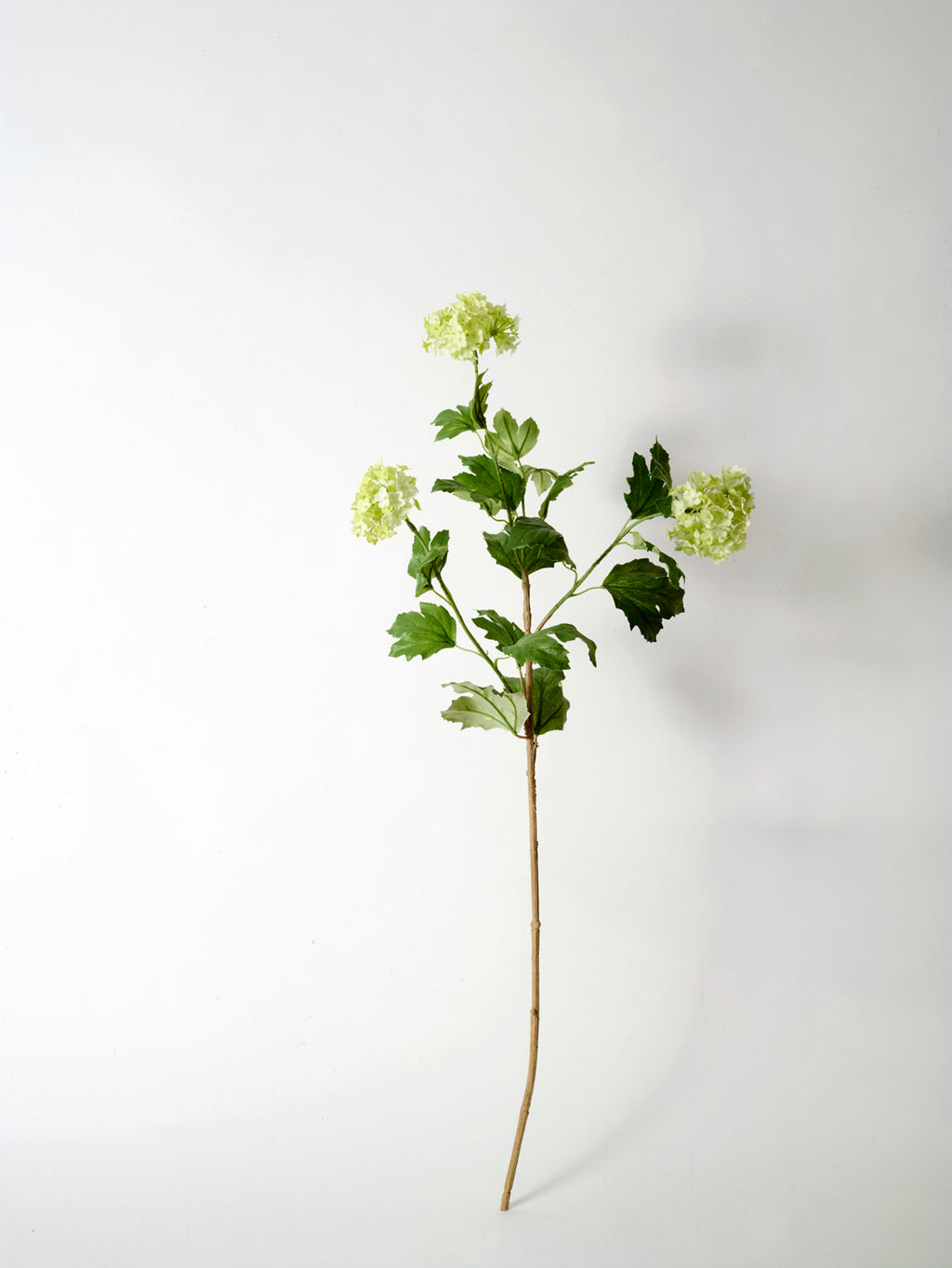 The Faux Viburnum, Pale Green - 78 cm features a single stem with green leaves and three pale green round flower clusters, ideal for a sophisticated artificial arrangement against a plain white background.